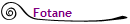 Fotane